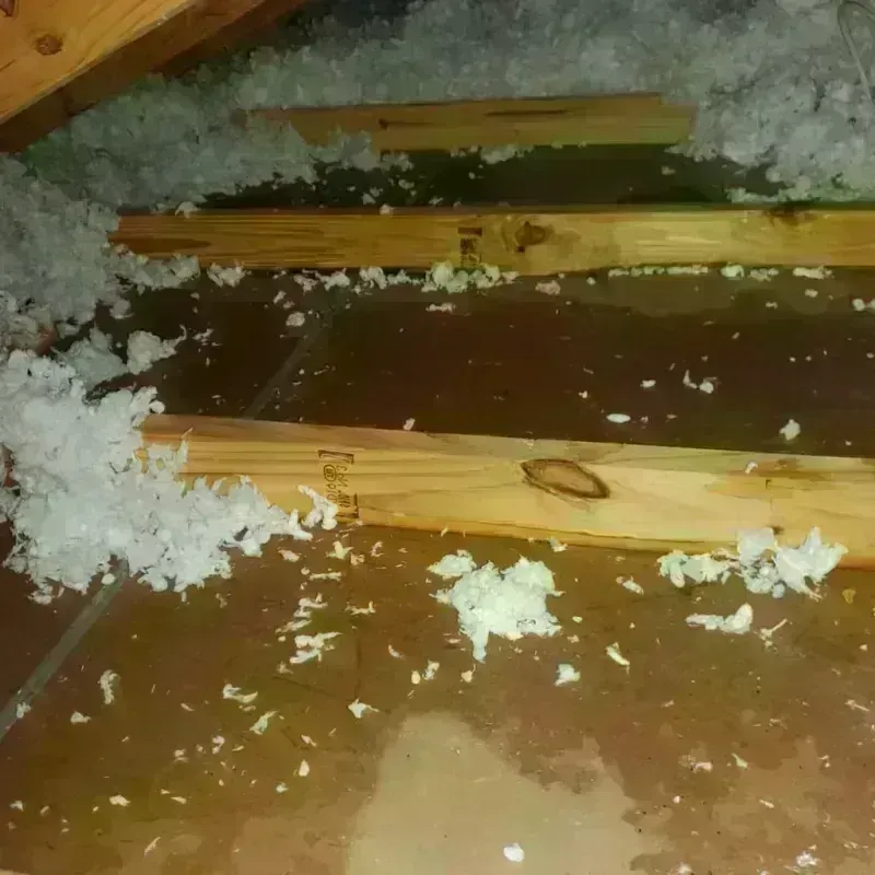 Attic Water Damage in Overland Park, KS