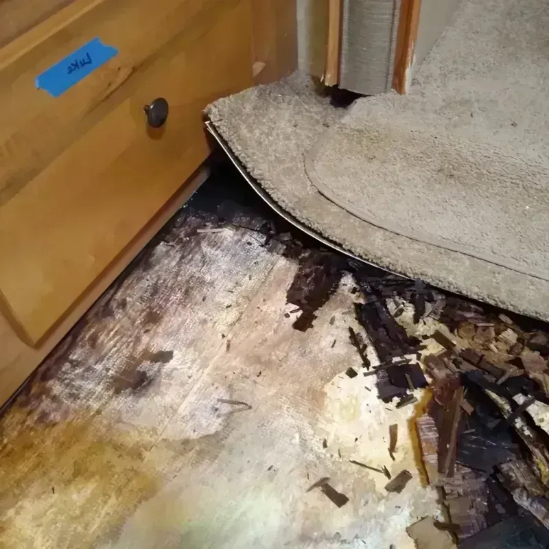 Wood Floor Water Damage in Overland Park, KS